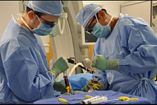 Впервые в России появились правила трансплантации костного мозга