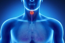 Берегите «щитовидку» смолоду