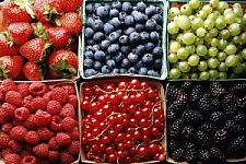 ягоды, Роспотребнадзор, рекомендации, ликбез