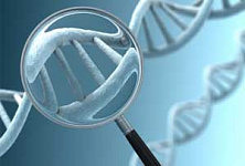 Быстрое исследование ДНК вскоре может стать банальной медицинской процедурой 